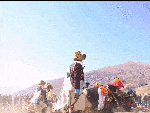 5.gif