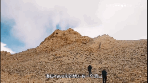 4.gif