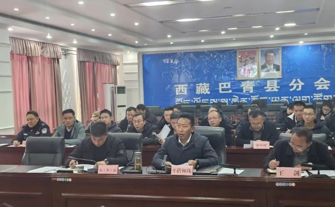 巴青县召开推进乡村振兴战略市级调度反馈问题整改会.png