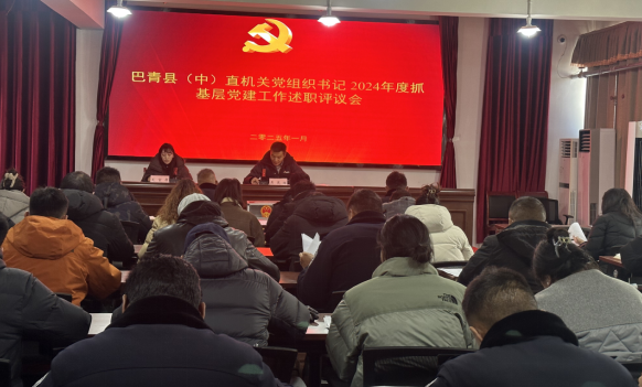 巴青县召开县（中）直机关党组织书记2024年度抓基层党建工作述职评议会.png